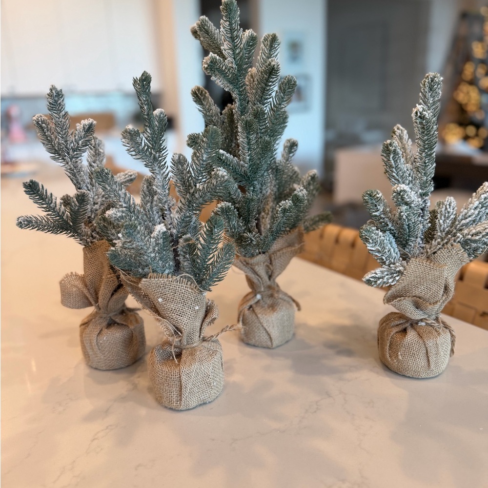 Snow-Kissed Burlap Wrapped Pine Trees